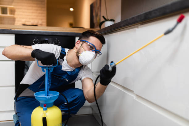 Best Pest Control Treatment  in Loch Sheldrake, NY