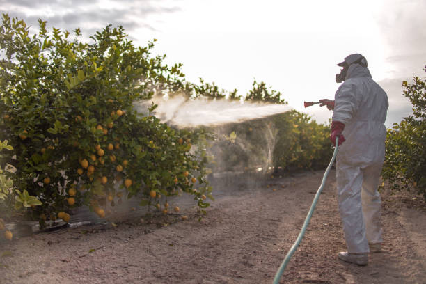 Best Pest Prevention Services  in Loch Sheldrake, NY