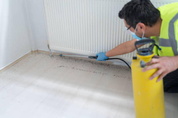 Best Mosquito Control Services  in Loch Sheldrake, NY