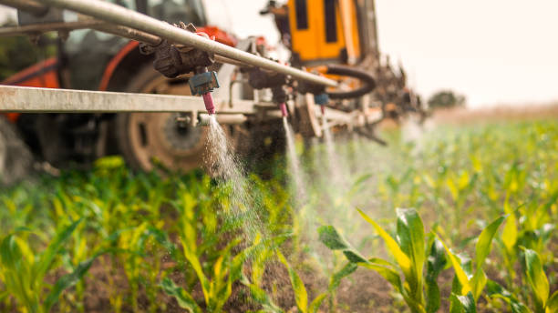Best Ant Control Services  in Loch Sheldrake, NY