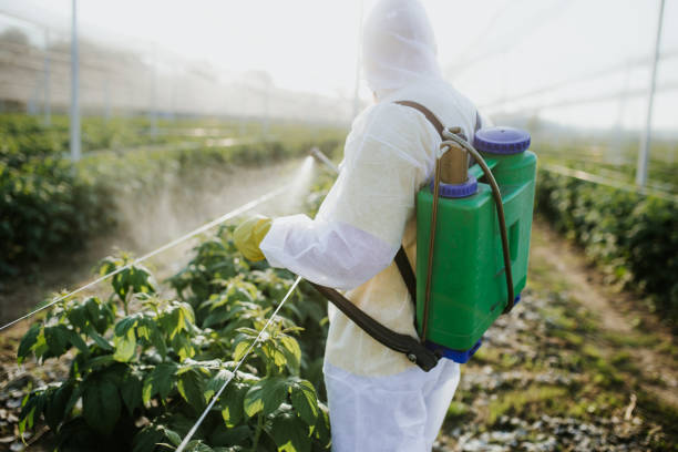 Best Residential Pest Control  in Loch Sheldrake, NY